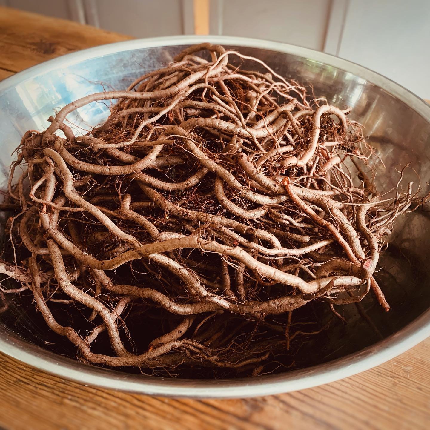 Madder roots in bowl