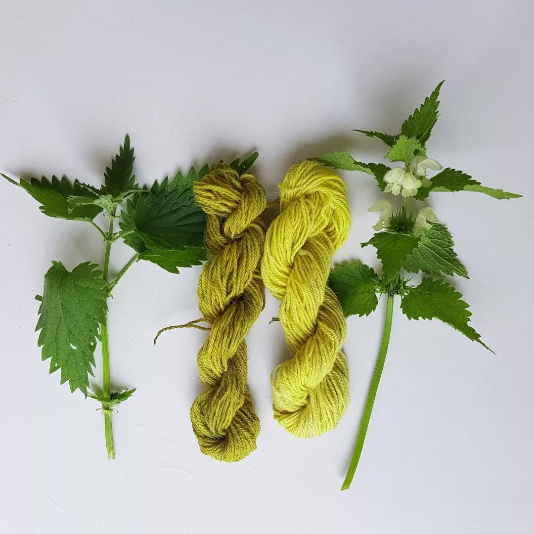 Nettle leaves and dyed yarns